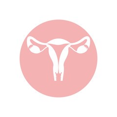 Uterus and women's reproductive system, vector illustration