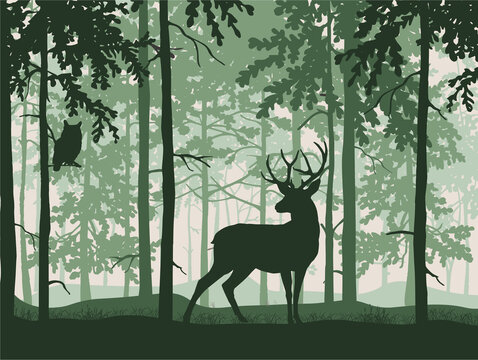 Deer with antlers posing, forest background, silhouettes of trees. Magical misty landscape. Illustration. 