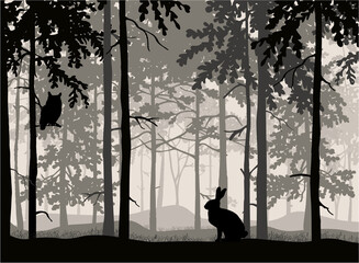 Owl sit on branch of tree, hare in grass, forest background, silhouettes of trees. Magical misty landscape. Illustration.  © Anna