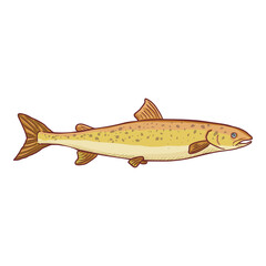 Cartoon Rainbow Trout Vector Fish Illustration.