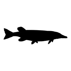 Pike Silhouette Fish Vector Illustration