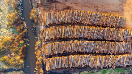 Aerial view captured by drone showing stacks of logs after trees were cut down 