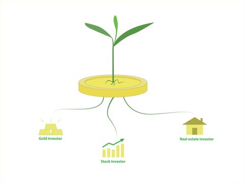 Investment For Capital Growth
The Fundamentals Of Investing In Real Estate, Stocks And Gold. Plant Money Coin Tree Growth Illustration For Dividend Income Concept. - Vector