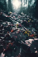 leaves in the wood cold mood