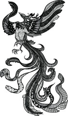 hand drawn colorful Phoenix tattoo,Fire bird isolate on white background,Japanese and Chinese style,Art of Phoenix Physiology.Fire bird graphic design.