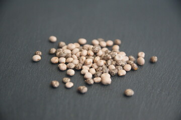 Lupinus perennis, Lupinus angustifolius, lupine beans,  seeds of Ornamental lupins, legume family Fabaceae