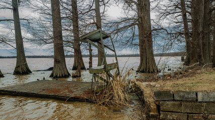 Reelfoot Lake Samburg Muddy Winter Water