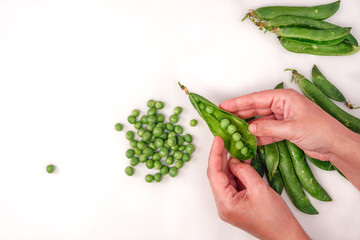 Cleaning fresh peas by hand top view, against white background. Close up of female opening green pod containers to remove the small edible seeds and place on a flat surface.