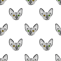 Fototapeta premium Seamless pattern with sphynx cat head. Funny animal with different eyes. Vector illustration.