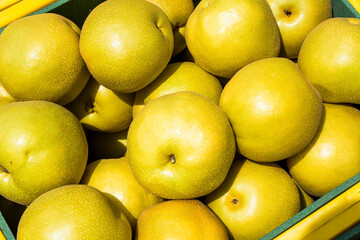 A lot of asian pears in the basket