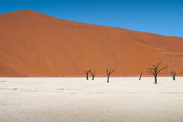 sunny day at Deadvlei
