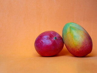 Two ripe mangoes in front of an orange background. Haden mango variety with reddish-green and yellow skin. Tropical and exotic fruit isolated with copy space.