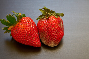 Ripe and juicy strawberry and spoiled with mold on the table.