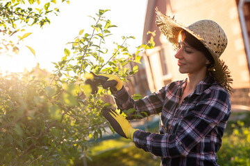 Side view of focused young caucasian woman gardener cuts unnecessary branches and leaves from tree...