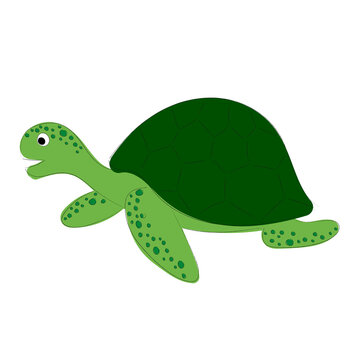 Fuuny sea turtle on white background. Cartoon illustration. Contour drawing