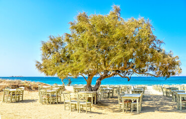 greek tavern under a tree on the beach