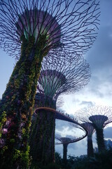 Fototapeta premium Singapore