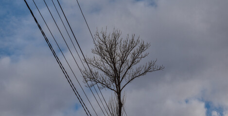 clouds in the sky