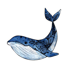 watercolor illustration of a blue whale with flowers on a white background. wildlife © July