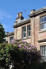 Fototapeta na wymiar Facade of 19th Century Victorian Building with Chimneys & Foreground Flowering Shrub