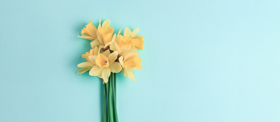 floral long banner with place for text. cute bouquet of spring flowers on a blue background. yellow daffodils simple minimalistic composition. flat lay