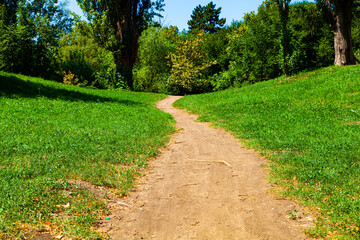 Park on a sunny day. Walking path.