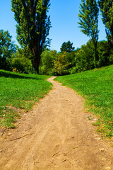 Park on a sunny day. Walking path.