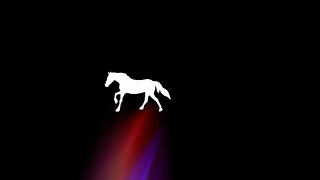 WHITE HORSE
Animated white horse runs under the spotlight.HD 1080.Hand drawn animation.