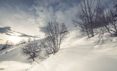 Paysage de montagne enneigée avec des arbres dans la vallée Perdue à la Toussuire dans les Alpes en contre jour du soleil levant avec des arbres et leurs  longues ombres