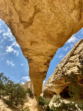 arch from below