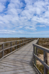 Fototapeta na wymiar wooden boardwalk leading through coastal marshlands and sand dunes