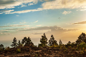 Paraglider flying in dramatic orange sunset with scenic clouds. Brown desert rocks and pine trees. Paragliding in summer sun beam landscape. Paraglide in mountains Gran Canaria, Canary Islands, Spain