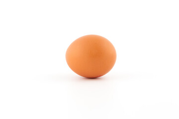 One Chicken Egg