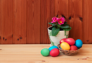 Obraz na płótnie Canvas Easter concept. Сolorful easter eggs and primula flower on wooden table. Selective focus.