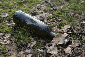 empty glass bottles in the forest 