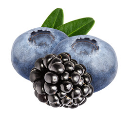 Blueberries with leaf and blackberry isolated on white background with clipping path