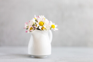 Beautiful daisy flowers in ceramic white vase on ultimate gray background