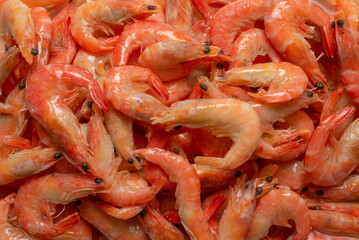 Shrimps background texture. A lot of shrimps. Cooked shrimps.