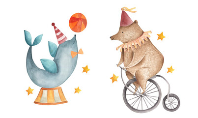 Circus watercolor illustration baby bear seal 