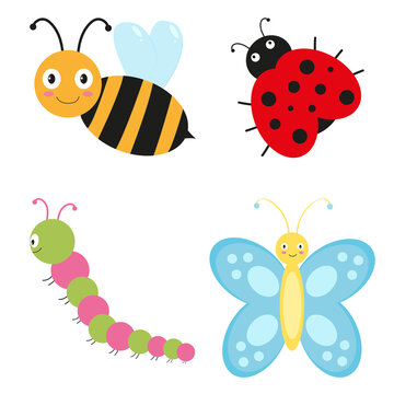 Bee, ladybug, butterfly and caterpillar on a white background