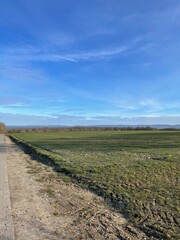 Obraz premium plowed field in spring