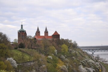 Plock Cathedral