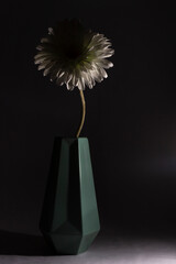 Experimentaci&oacute;n. 