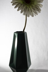 Experimentaci&oacute;n. 