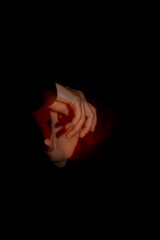 La voz del movimiento.