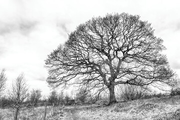 Wetlands In Hertfordshire