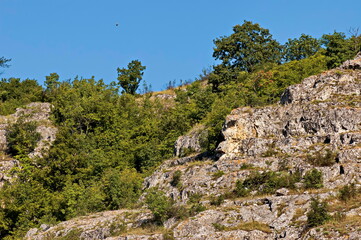 Fototapeta na wymiar Panorama from the area of ​​Rusenski Lom Nature Park with high vertical limestone cliffs, overgrown with deciduous trees, Nisovo, Bulgaria 