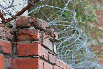 barbed wire on a brick wall. Prison and freedom concept.