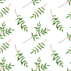 Seamless pattern with watercolor pistache branches. Hand drawn illustration is isolated on white. Ornament with leaves are perfect for floral design, wrapping paper, interior wallpaper, fabric textile