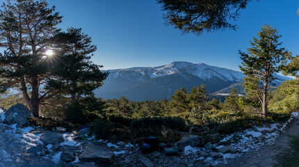 mountain river in the mountains in a panorama with snow and trees and a snowed mountain